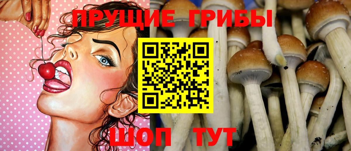 Псилоцибиновые грибы ЛСД Тавда