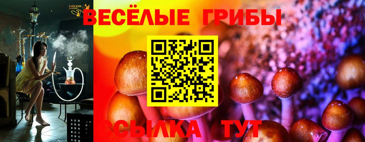 Галлюциногенные грибы MAGIC MUSHROOMS  Вход с VPN  Тавда 